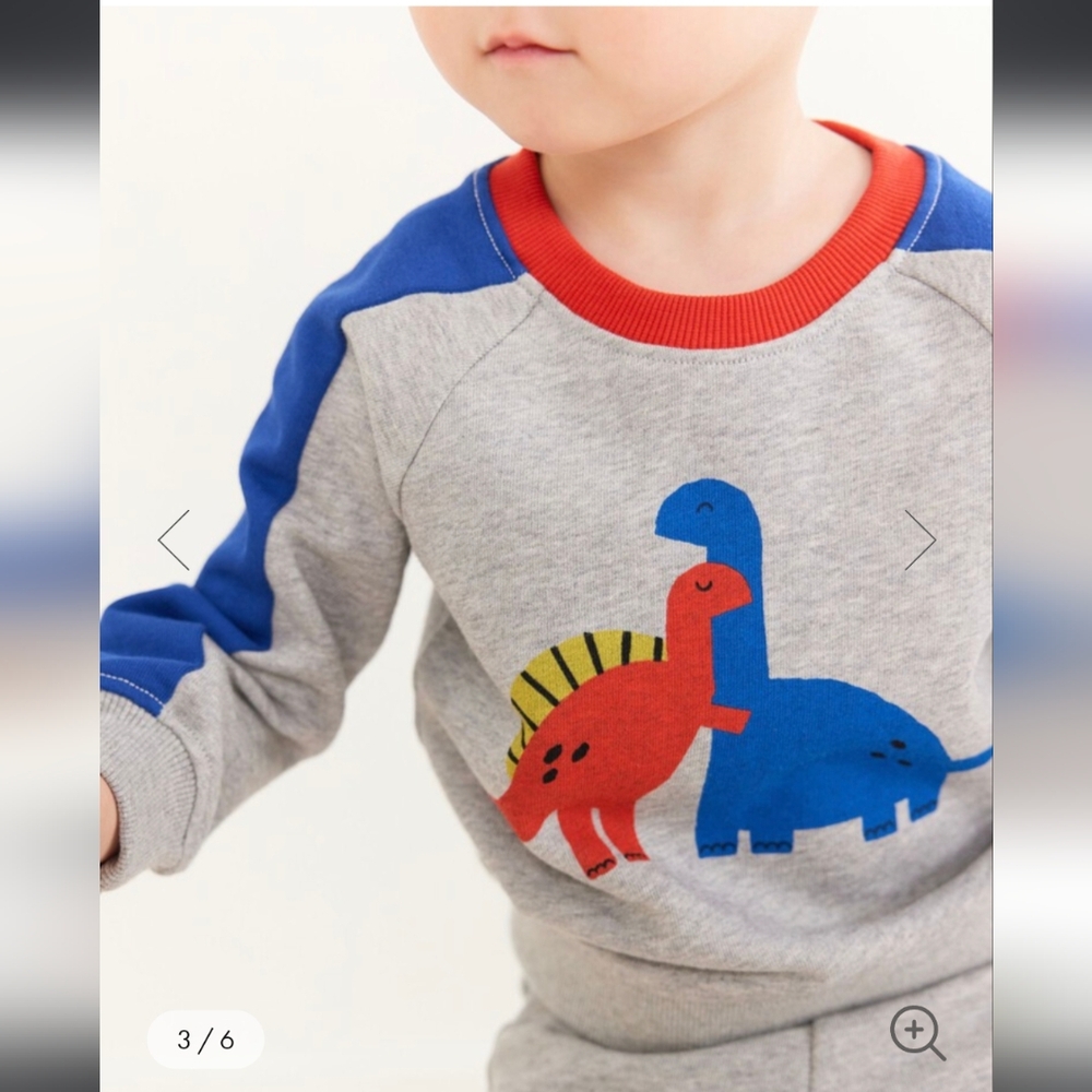 Hanna Andersson Gray Sweatshirt with Dinosaur Print - Picture 6 of 6